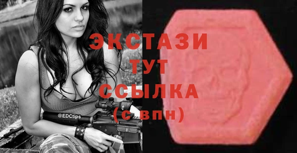 прущие грибы Верея