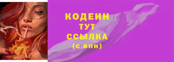 прущие грибы Верея
