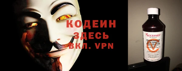 прущие грибы Верея