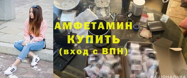 прущие грибы Верея