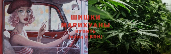 прущие грибы Верея