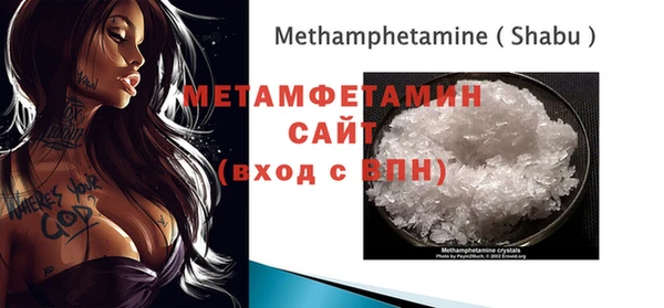 прущие грибы Верея