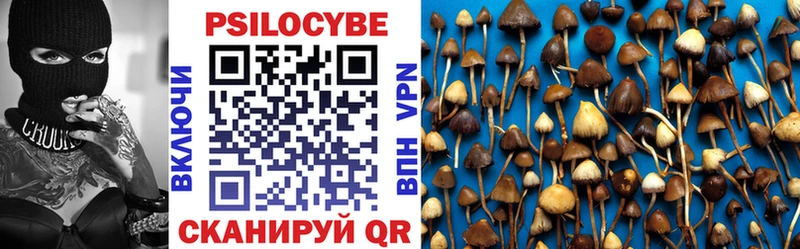 как найти закладки  Велиж  Псилоцибиновые грибы мухоморы 